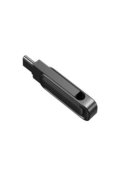 SKYDDAR INNOVATION Memory Stick USB 3.2 and Type-C, Dual-Interface, 64GB, 25M/s, 100M/s, THSM34, sticker set, Tarnish