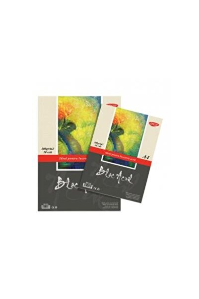 Daco A4 acrylic pad 300g 10 sheets BD431