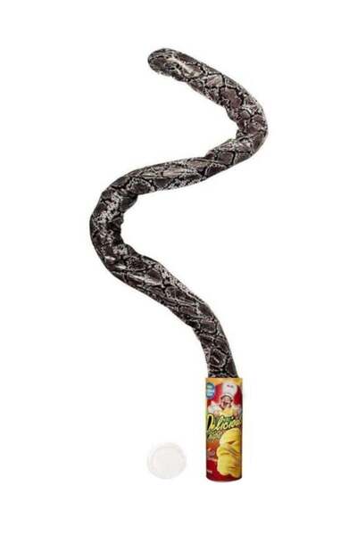 Generic مجموعة رقائق البطاطس على شكل ثعبان في علبة 8.5 بوصة