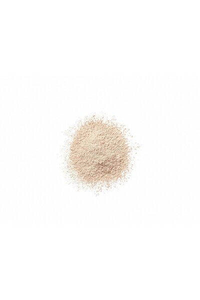 Clinique Blended Face Powder, 25 g-02 TRANSPARENCY