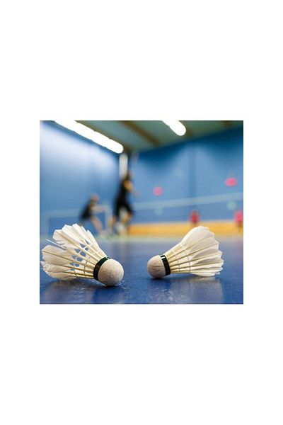 Tremblay Badminton shuttlecocks, with foam base