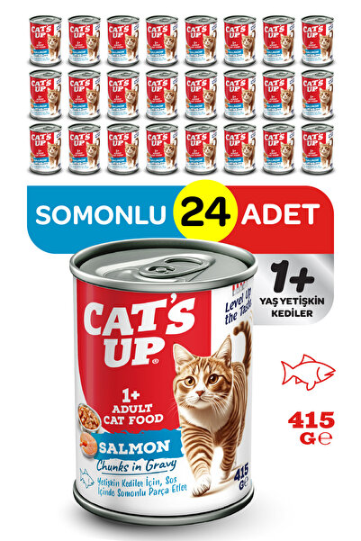 Cat's Up Cats Up Yaş Yetişkin Kedi Maması Somonlu 415gr 24Lü