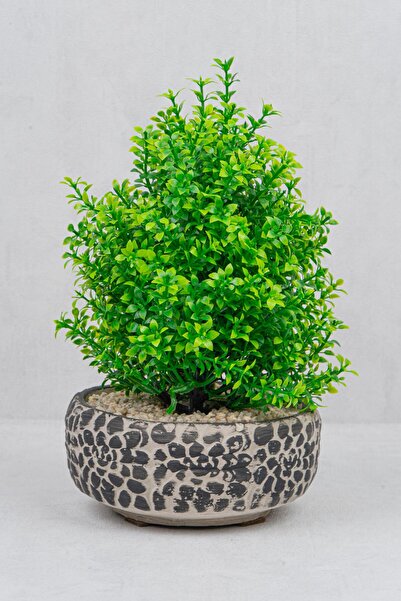 Mondecor Modern Masaüstü Ağaç Dekor