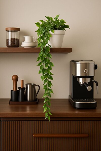 ALP HOME “Saksılı Yapay Sarmaşık Yaprak – 80 cm Dekoratif Çiçek”