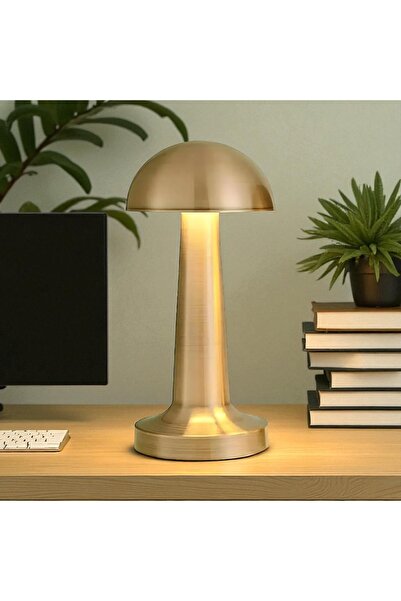 MİEN 3 Renk Işıklı Şarjlı Masa lambası Gold Masa lambası usb şarjlı