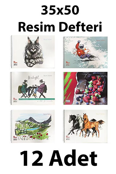 everart Resim Defteri Spiralli Karton Kapak 35x50 Cm 15 Yaprak 12adet
