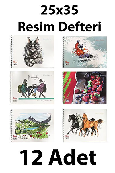 everart Resim Defteri Spiralli Karton Kapak 25x35 Cm 15 Yaprak 12adet