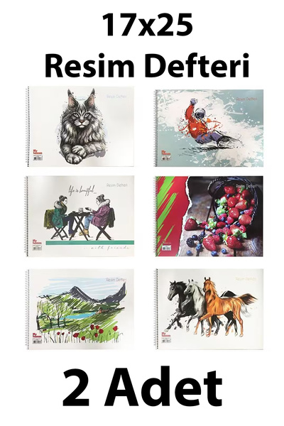 everart Resim Defteri Spiralli Karton Kapak 17x25 Cm 15 Yaprak 2 adet