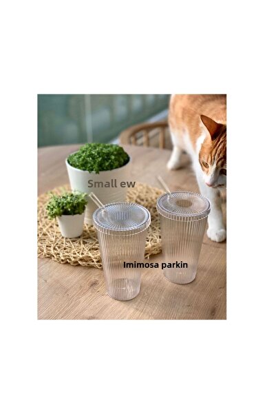 KÜÇÜK EW MICA 2 Pieces 600 Ml Origami Style Mica Glass with Mica Lid and Straw | Presentation Glass Soft Drink Glass