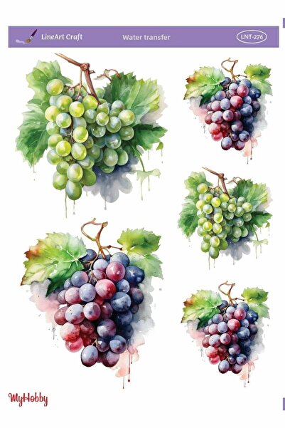 MyHobby LNT-276 25x35 نقل نمط العنب العصير