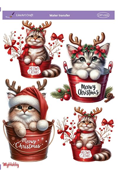 LİNEART LNT2335 نموذج 25x35 سم نقل مائي خطي