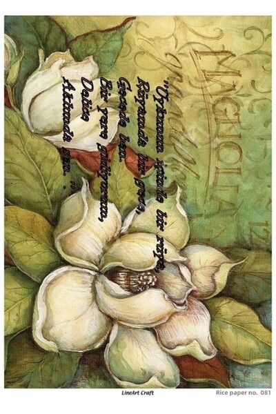 ehobici Model 081 - Brass Decopage Lineart Craft