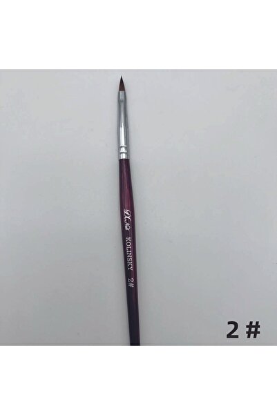 Anil Professional Cosmetics مجموعة فرش الأكريليك - أداتك المثالية لفنك ومهارا...