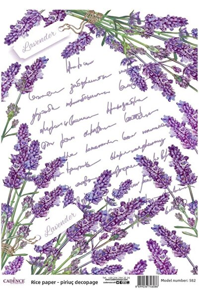 Cadence 2 Pieces Model 582- Rice Paper Decoupage