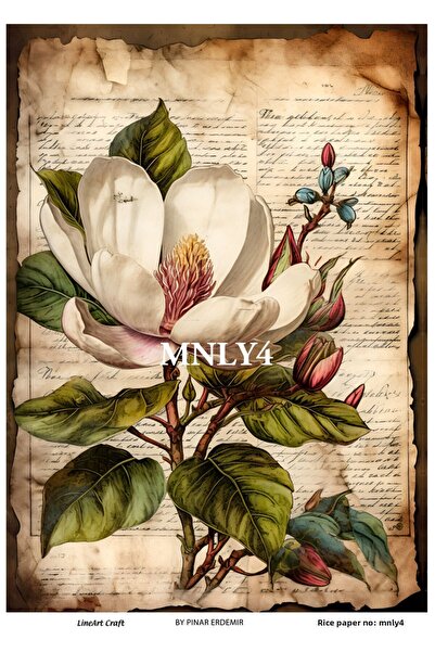 LİNEART ورق ديكوباج نحاسي مقاس 29 × 42 سم - MNLY4