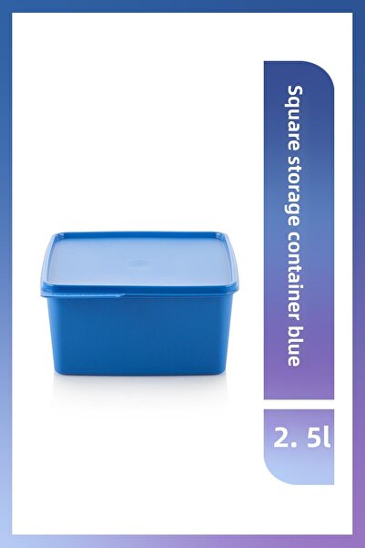 Tupperware Blue Square Refrigerator Storage Container - 2.5 Lt