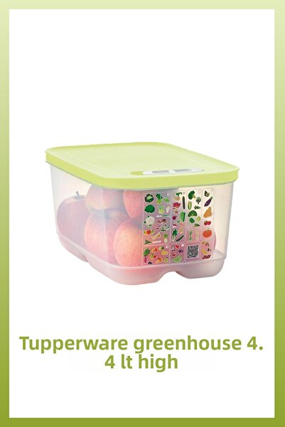 Tupperware Greenhouse Series 4-Piece - Lime and Yellow Pot, New Model