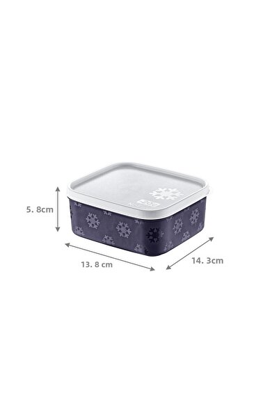 Smartware No Frost Storage Container 700 ml