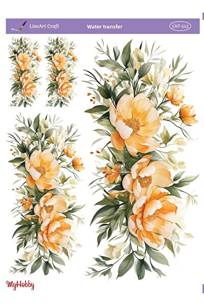 LİNEART لاينارت ووتر ترانسفير 25x35 سم رقم:LNT513