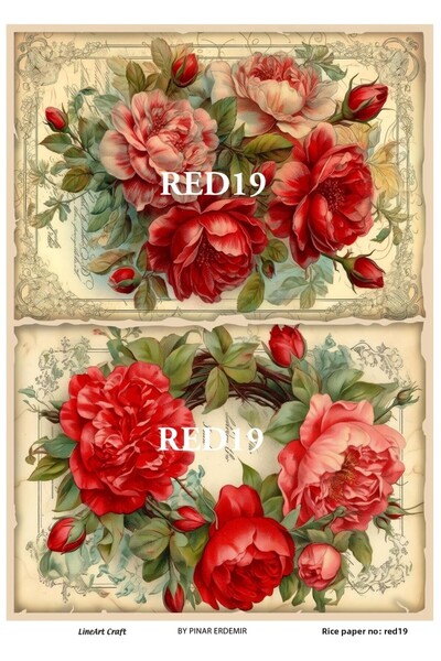 LİNEART ورق تزيين الأرز RED19 - 29x42 سم