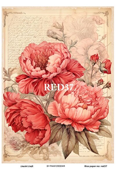 LİNEART ورق تزيين الأرز RED37 - 29x42 سم