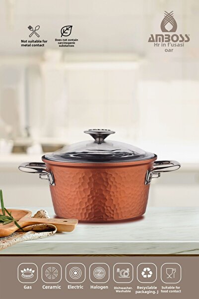 Amboss One Piece Cast 24 cm Titanium Coated Deep Pot with Glass Lid