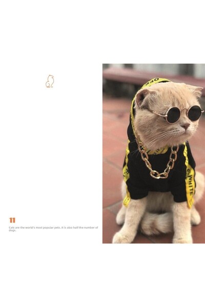 Le Color Flexible Cover Notebook 10.5x18.58 144sy Cat Lover