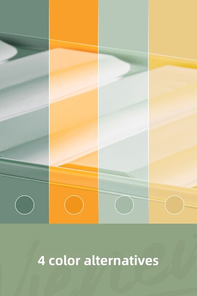 Vienev 6-Piece Refrigerator Freezer Organizer with 350 ml Capacity - Mint Suitable for Microwave and Freeze