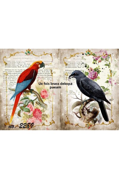 LİNEART Lineart Brass Decopage Paper No:L2289- 29X42Cm