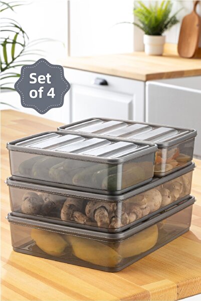 Vienev Organizator pentru frigider Bella, antracit, 4 piese - 2x3,5,1,75 litri