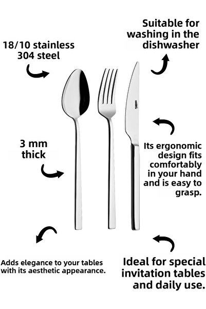 Rollers Mercan Food Spoon - Stainless Steel, Set of 6