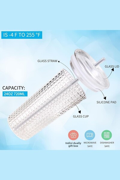 Meturas 550ml Glass Cup with Lid and Glass Straw – Borosilicate Glass, Reusable,