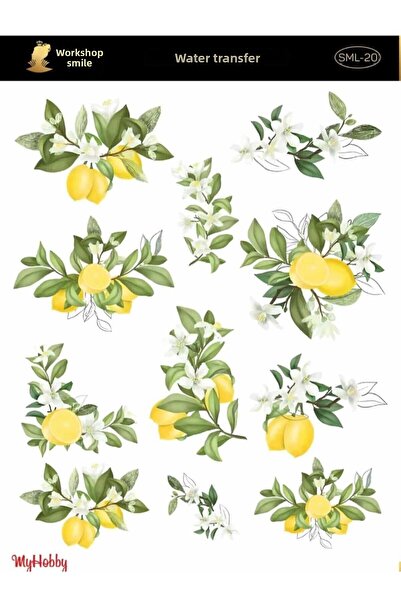 MyHobby موديل AST20 نقل مائي - مقاس 25x35 سم