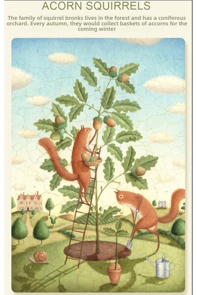 Mideer لغز إبداعي - السناجب البلوزية