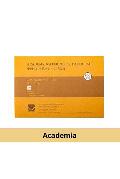 BAOHONG Watercolor Academy Block Notebook (Rough) 31X21Cm, 100% Cotton, 300Gr...