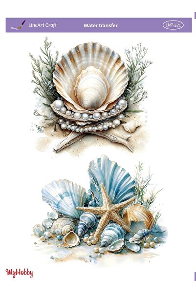 LİNEART Lineart Water Transfer No:Lnt521 25X35Cm
