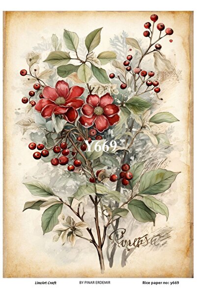 LİNEART Lineart Christmas Pattern Brass Decopage Paper No:Y669- 29X42Cm