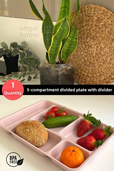 ongu home Five Compartment Table D'hôte Plate Washable Food Plate Food Plate Breakfast Plate (PINK)