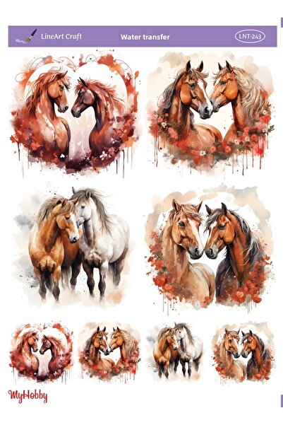 LİNEART Lineart Water Transfer No:Lnt243 25X35Cm