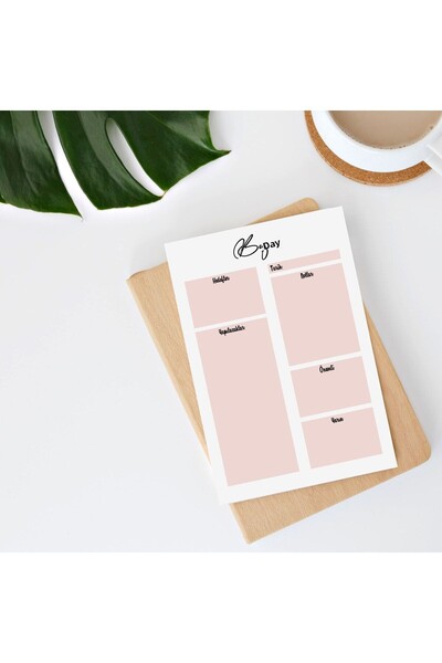 Pine Note مخطط يومي بلون السلمون/قائمة المهام/دفتر/مفكرة/مذكرة A5