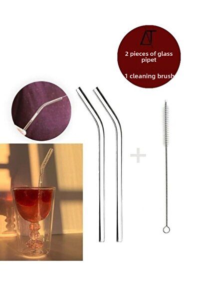 Acarlar Ticaret Set of 2 Glass Straws and 1 Straw Cleaning Brush Set 1stQuality