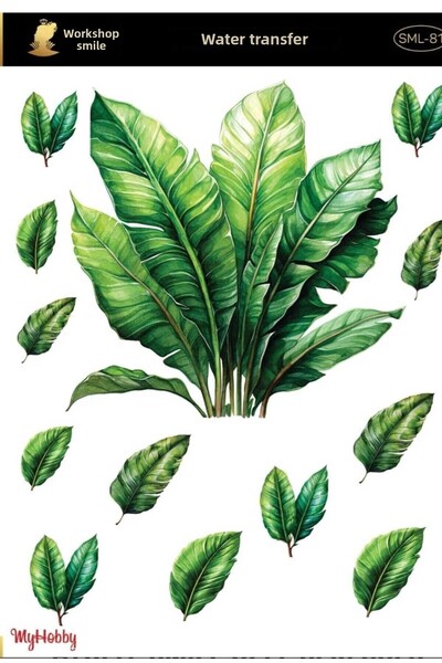 MyHobby Water Transfer Ast81 25X35Cm