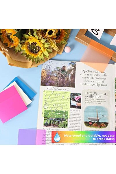 Kawaii Adhesive Transparent Post-it 50 Pieces Green