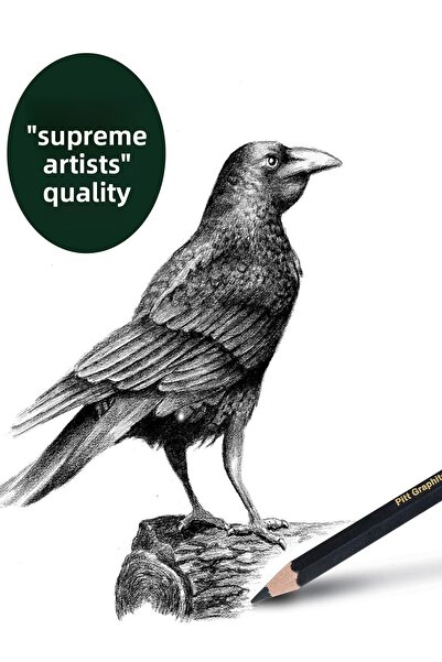 GLANCE Pitt Graphite Matte Pencils 10B, 8B, 6B, 4B, 2B, Hb Set of 6