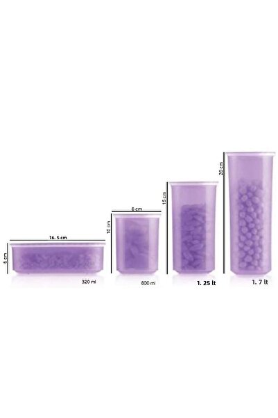 Tupperware 4-Piece Purple Dry Water Oval Food Storage Set - Hsgl