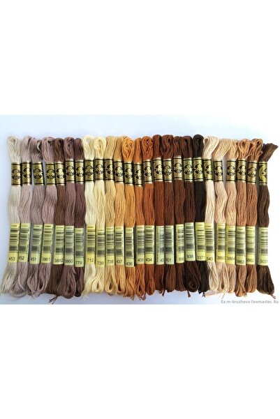 Dmc طقم خيط مولين بني 25 قطعة