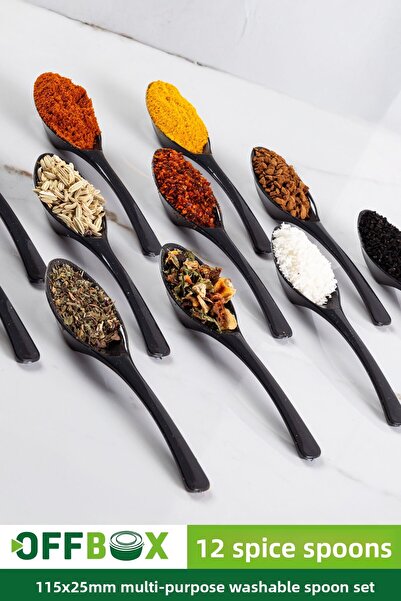 OFFBOX 12 Pieces Spice Spoon Breakfast Spice Spoon Spoon Set BK-12