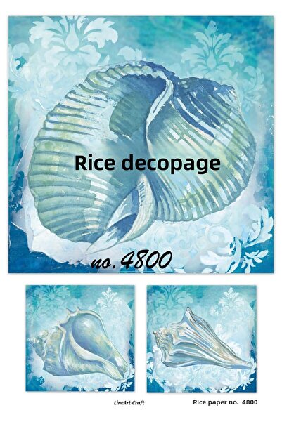 LİNEART ورق ديكوباج نحاسي Lineart رقم: L4800 - 29x42 سم