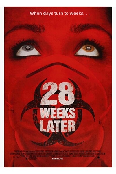 Universal 28 εβδομάδες αργότερα - Διακοσμητική ξύλινη αφίσα τέχνης