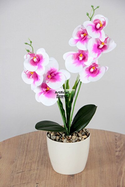 Yapay Çiçek Deposu Decorativ 2 bucăți Mini aranjament de orhidee umede artificiale fucsia-alb 40 cm